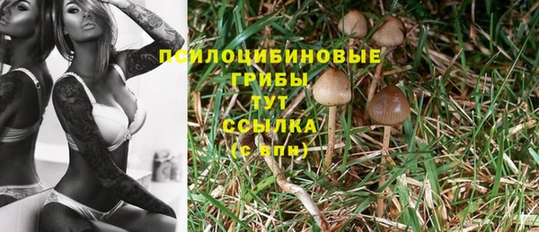 mix Михайловск
