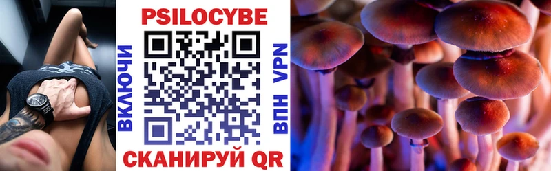 Галлюциногенные грибы Psilocybine cubensis  Купить где  Емва 